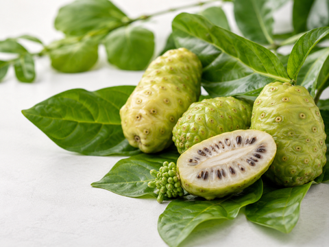 Noni Früchte und Blätter für Bio Noni Saft